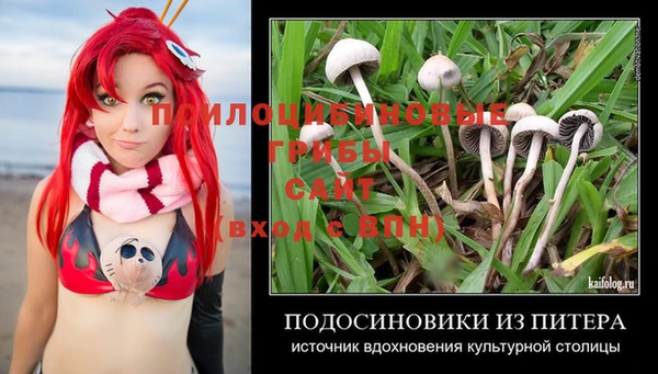 таблы Алзамай