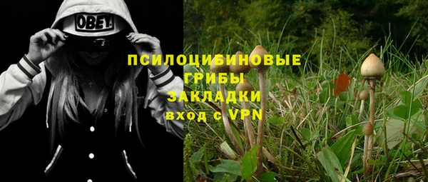 таблы Алзамай