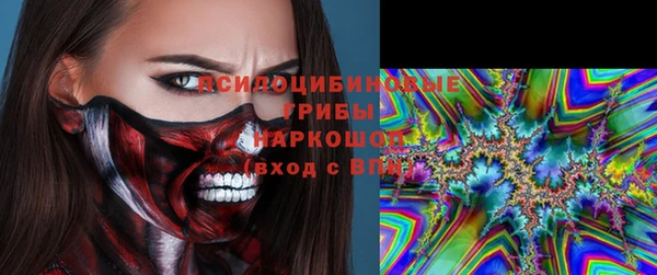 спиды Алексин